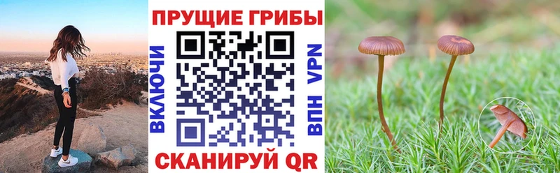 Псилоцибиновые грибы прущие грибы  Давлеканово 